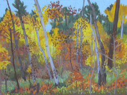 fall color, Boulder Mountain, Utah, pastel, scotty Mitchell