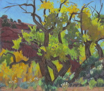 Scotty Mitchell, Landscape, Pastel, Cottonwood, Escalante, Boulder, Utah, Artist, 
