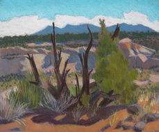 pastel, plein air, Boulder Utah, Scotty Mitchell