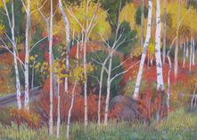 Fall color, pastel, plein air, Scotty Mitchell